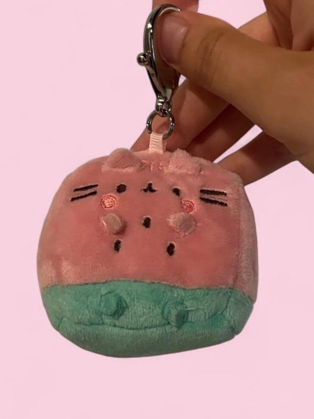Kawaii Stuffed Pusheen Cat Watermelon Bag Charm!